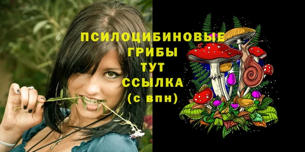 крисы Алзамай
